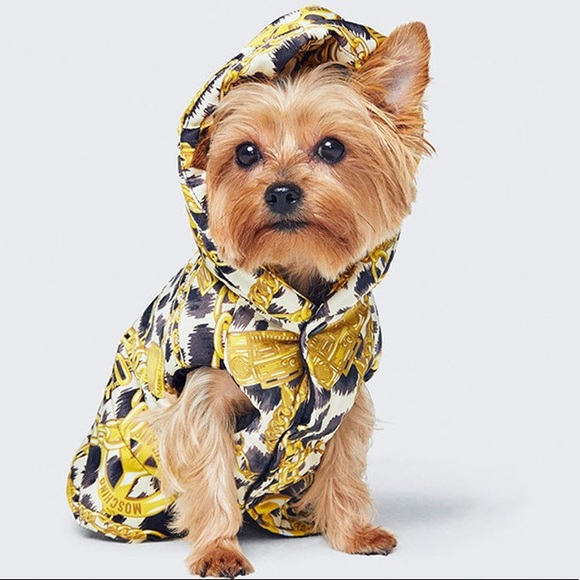 Moschino Other - New west moschino dog 🐶